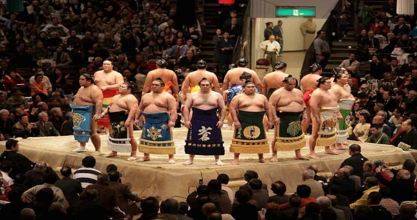 sumo wrestling.jpg
